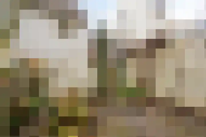 Barlheze 21 Zutphen thumbnail 31