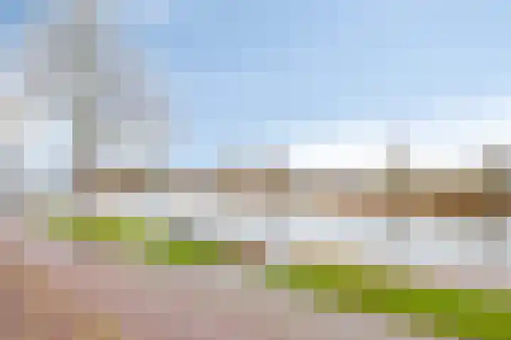 Barlheze 21 Zutphen thumbnail 34