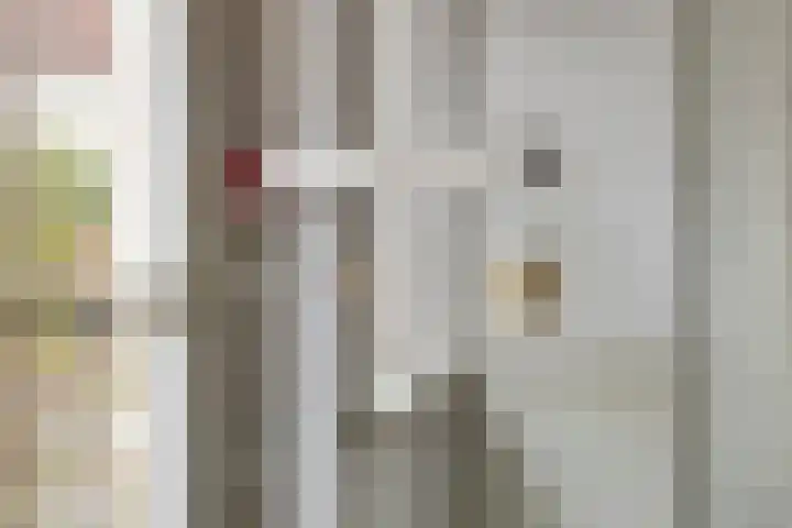 Barlheze 21 Zutphen thumbnail 6