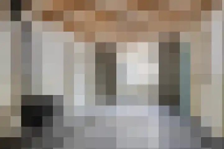 Barlheze 21 Zutphen thumbnail 8