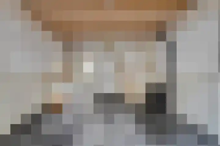 Barlheze 21 Zutphen thumbnail 9