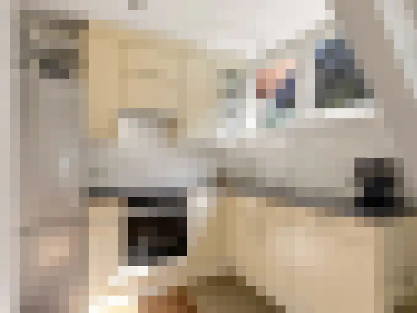 Barlheze 43 Zutphen thumbnail 13