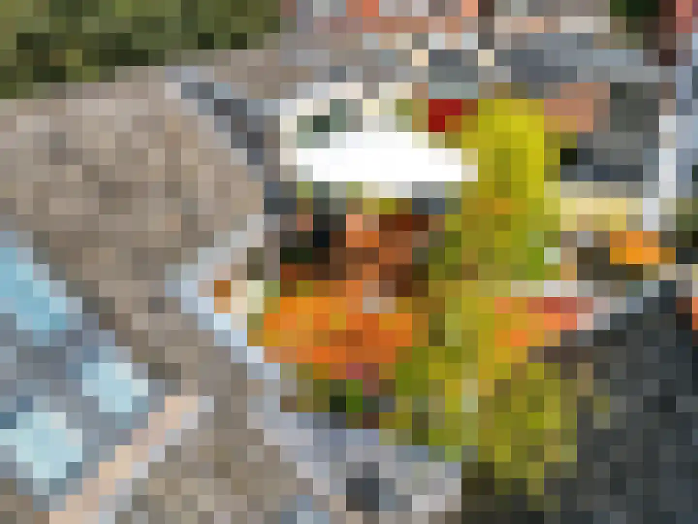 Barlheze 43 Zutphen thumbnail 27