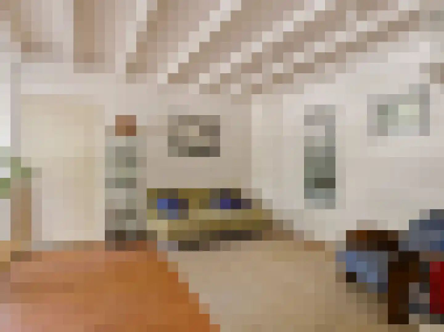 Barlheze 43 Zutphen thumbnail 30
