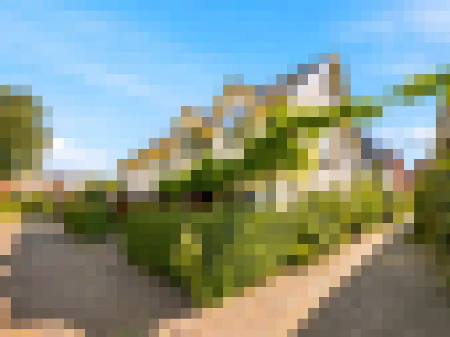 Barlheze 43 Zutphen thumbnail 41
