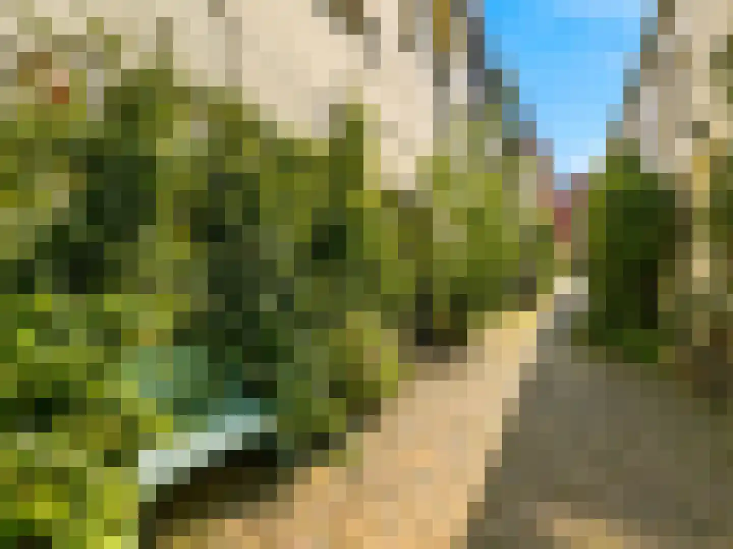Barlheze 43 Zutphen thumbnail 45