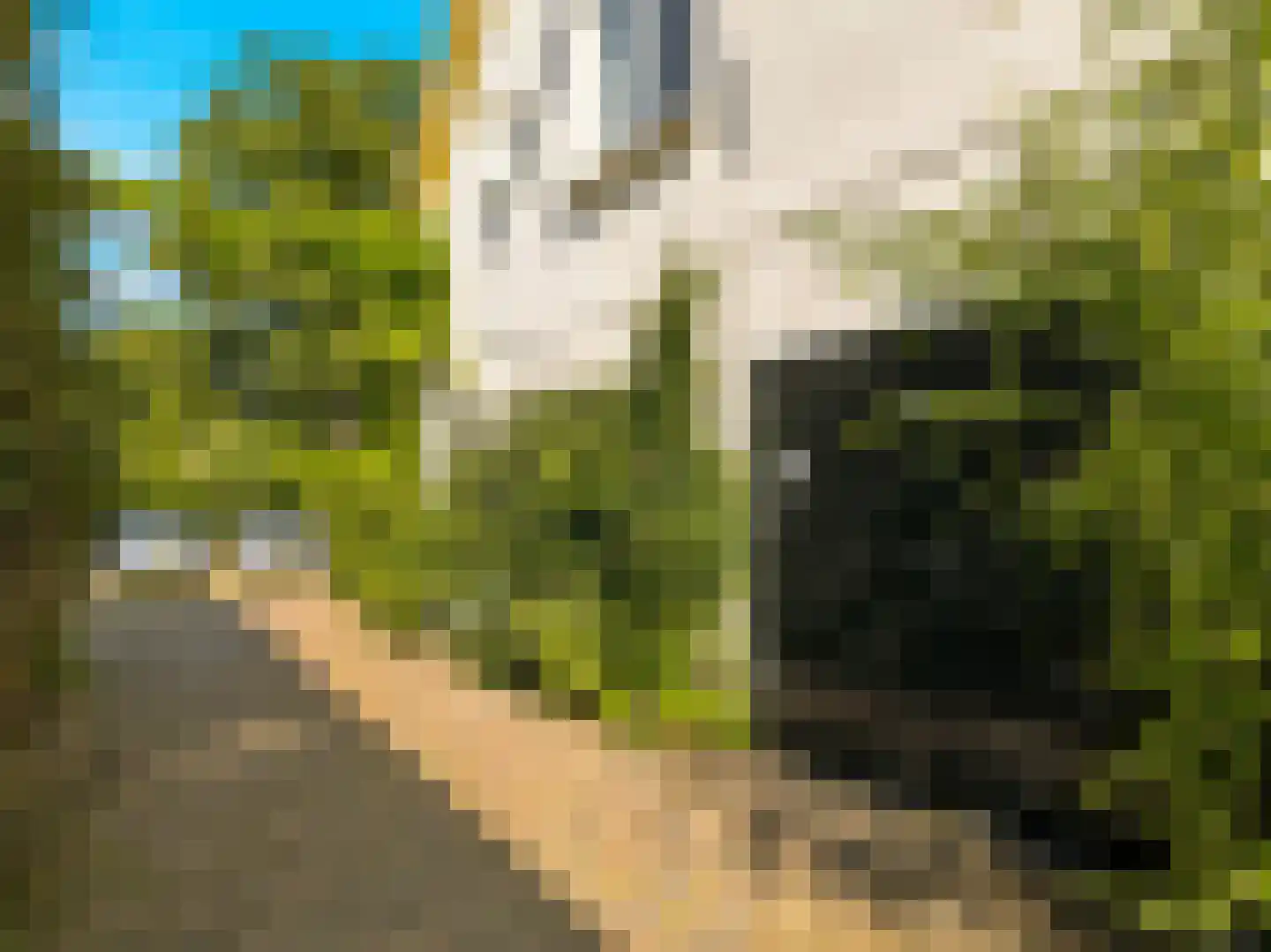 Barlheze 43 Zutphen thumbnail 48