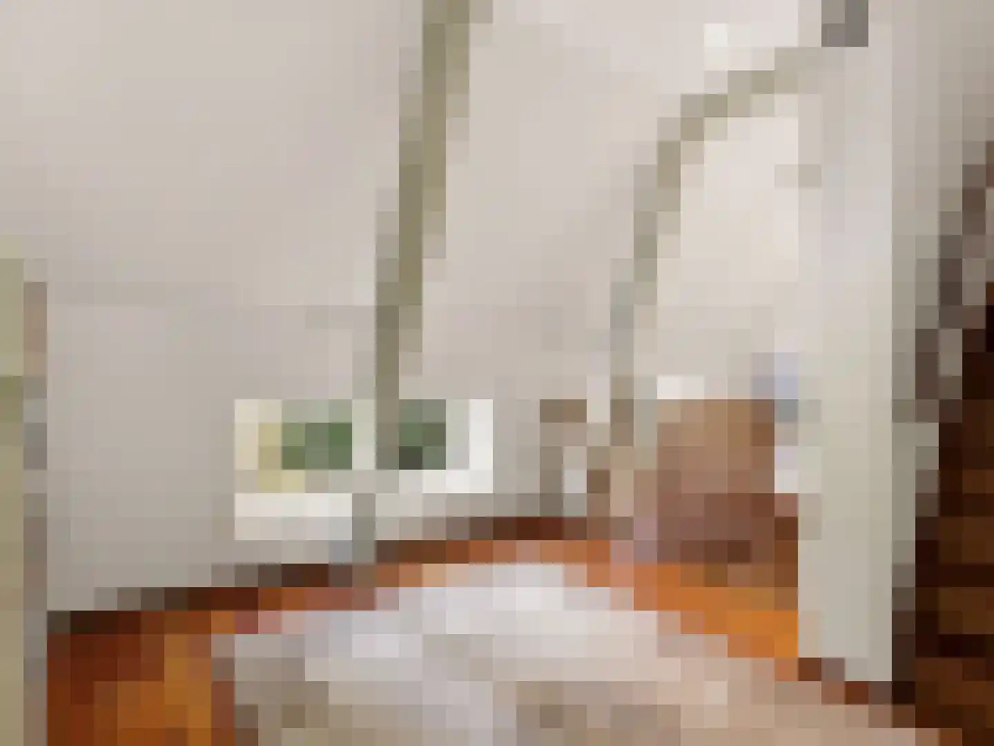 Barlheze 43 Zutphen thumbnail 5