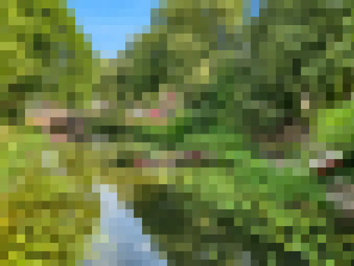 Barlheze 43 Zutphen thumbnail 50