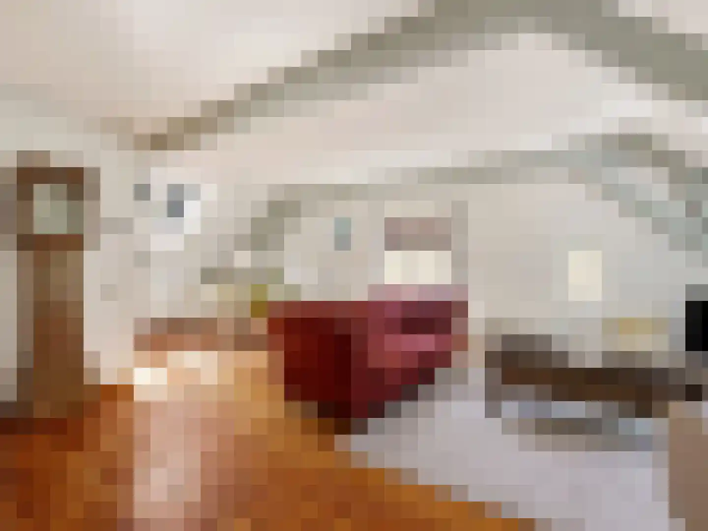 Barlheze 43 Zutphen thumbnail 7