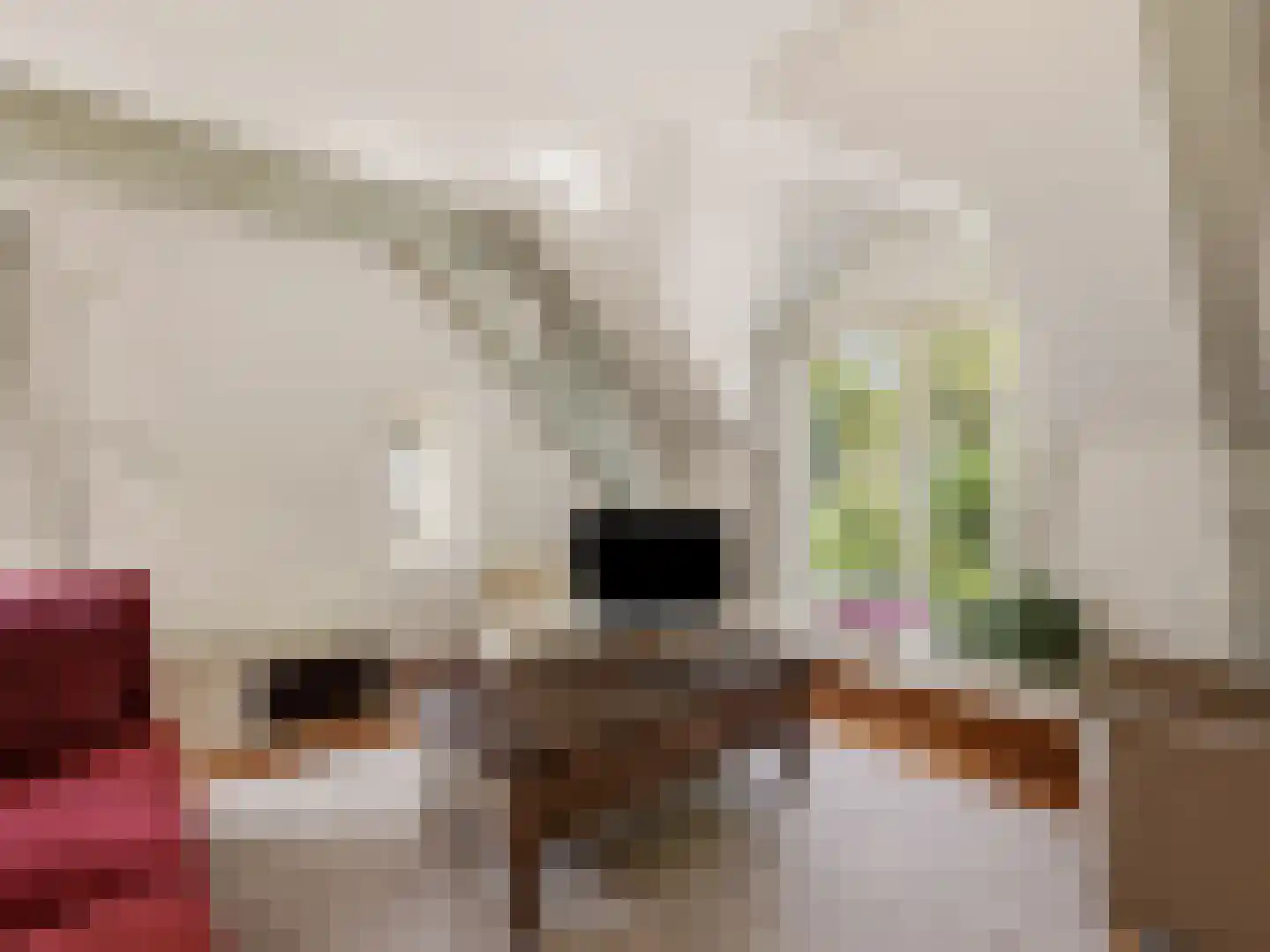 Barlheze 43 Zutphen thumbnail 8