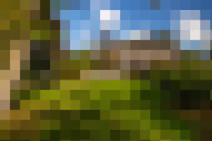 Barloseweg 28 Aalten thumbnail 52