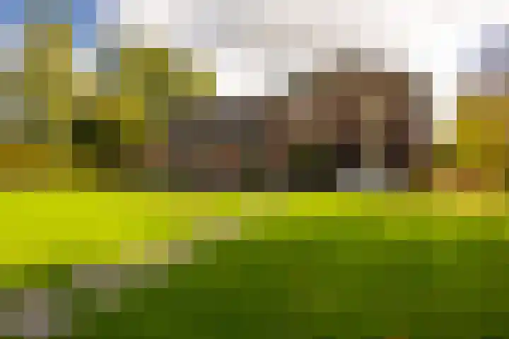Barloseweg 28 Aalten thumbnail 54