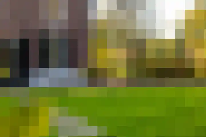 Barloseweg 28 Aalten thumbnail 57