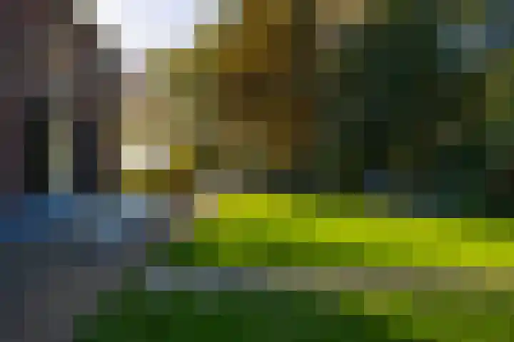 Barloseweg 28 Aalten thumbnail 58
