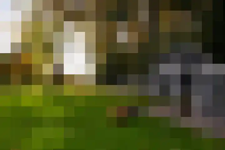 Barloseweg 28 Aalten thumbnail 60