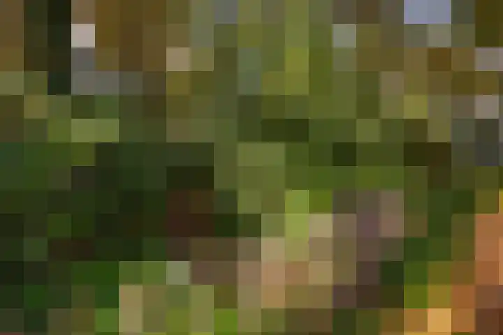 Barloseweg 28 Aalten thumbnail 61