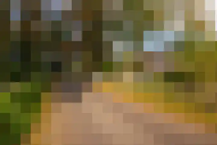 Barloseweg 28 Aalten thumbnail 64