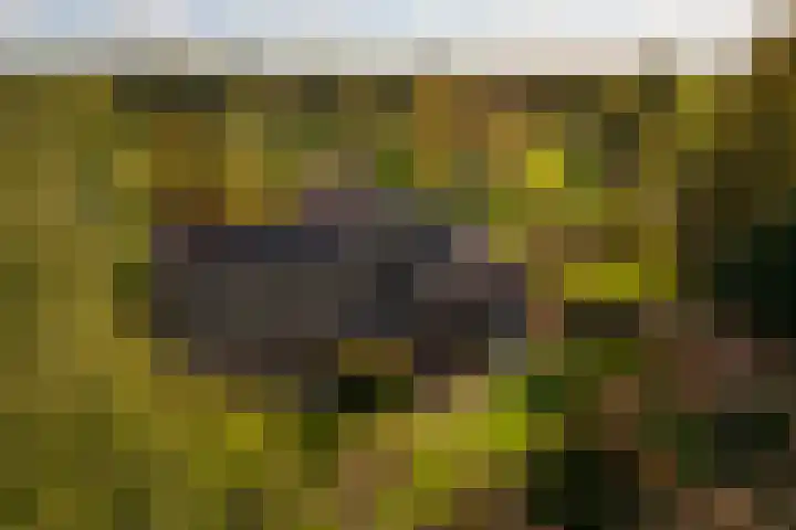 Barloseweg 28 Aalten thumbnail 69