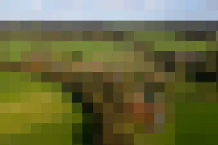 Barloseweg 28 Aalten thumbnail 71