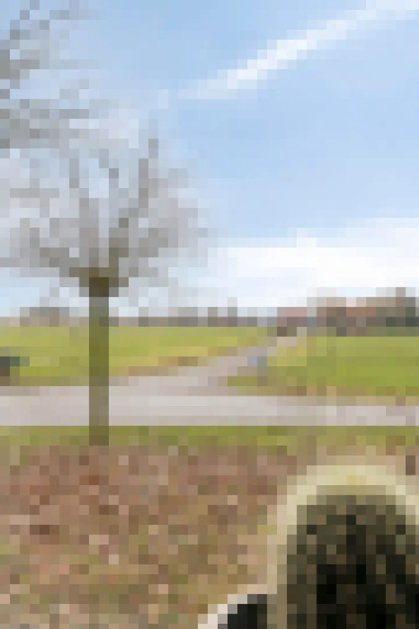 Barloseweg 3 Aalten thumbnail 34