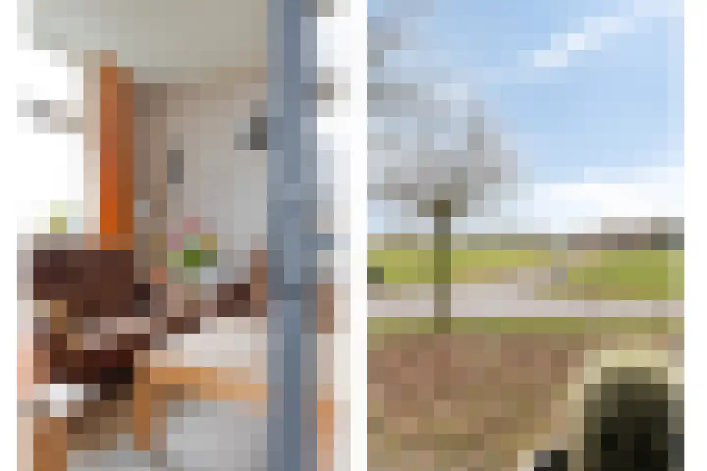 Barloseweg 3 Aalten thumbnail 35