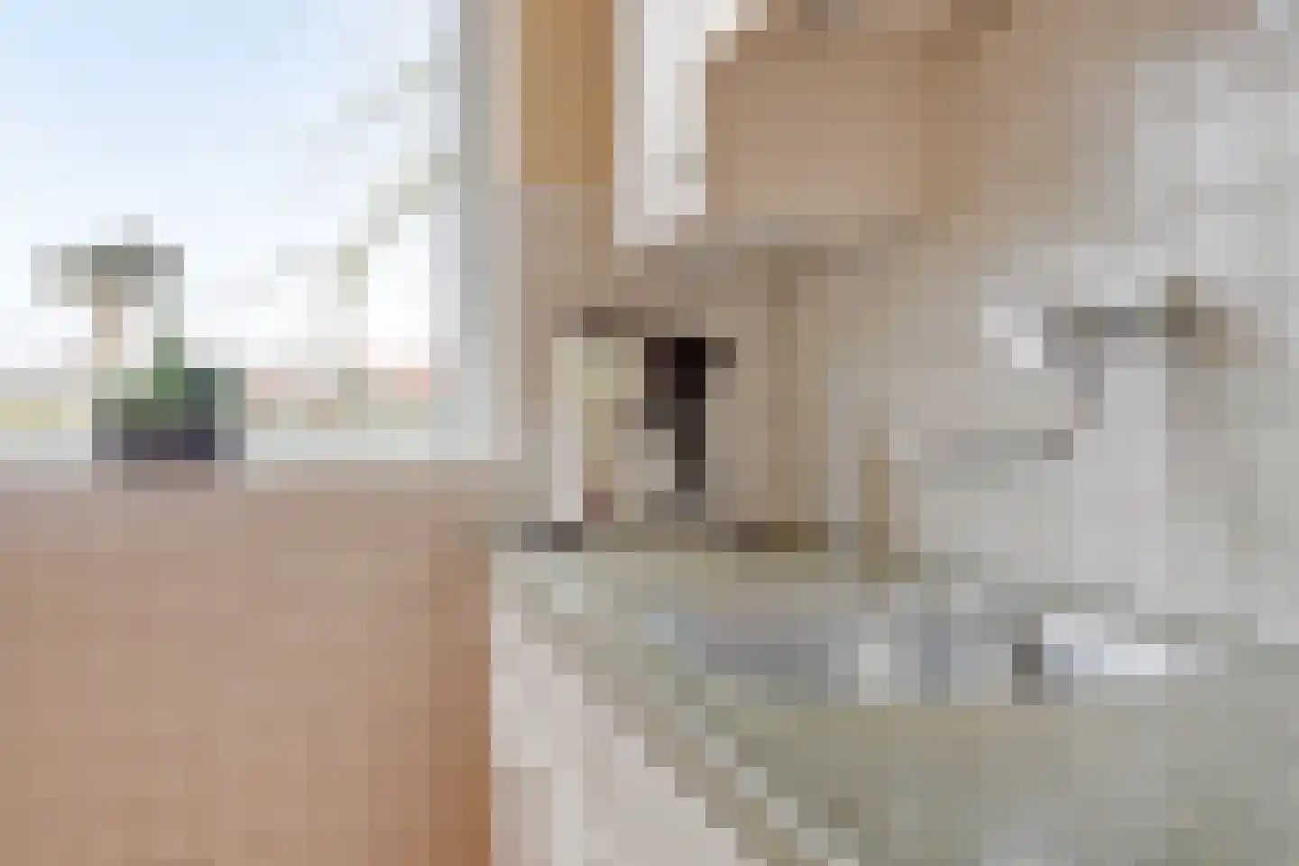 Barloseweg 3 Aalten thumbnail 39