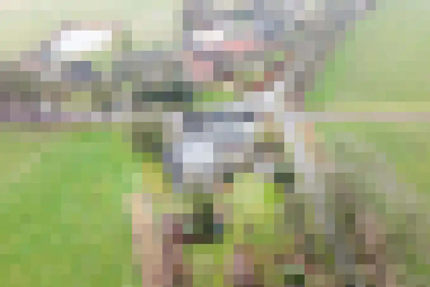 Barloseweg 3 Aalten thumbnail 7