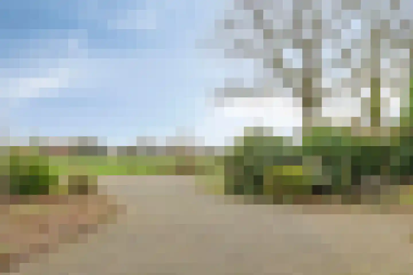 Barloseweg 3 Aalten thumbnail 70