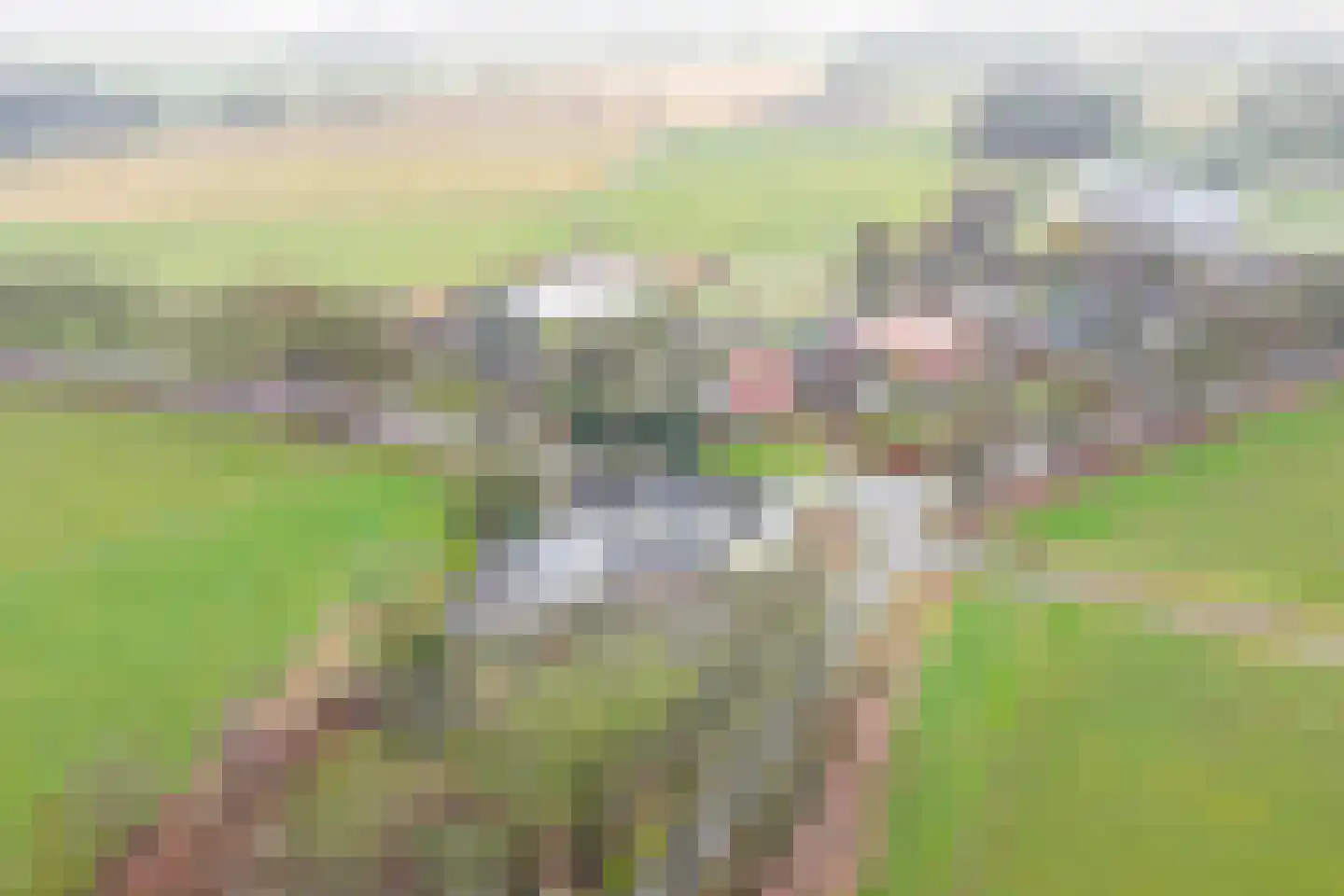 Barloseweg 3 Aalten thumbnail 8