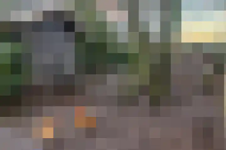 Barloseweg 4 Aalten thumbnail 6