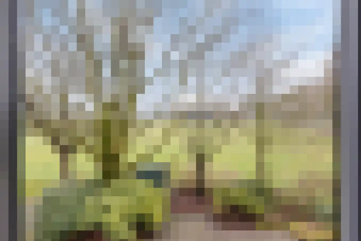 Barloseweg 5 Aalten thumbnail 52