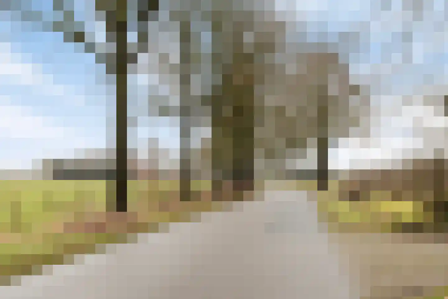 Barloseweg 5 Aalten thumbnail 66