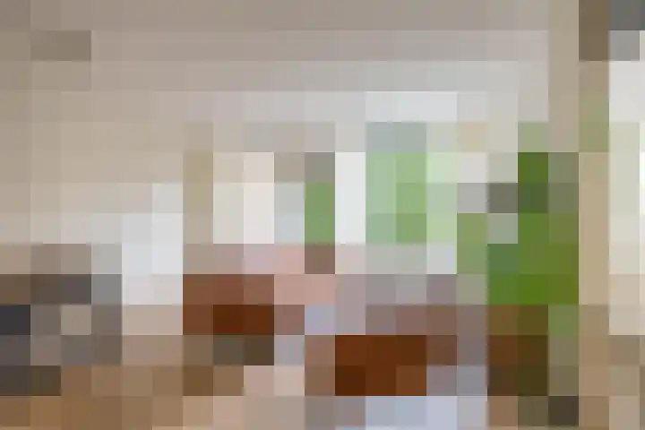 Barmaheerd 23 Groningen thumbnail 10