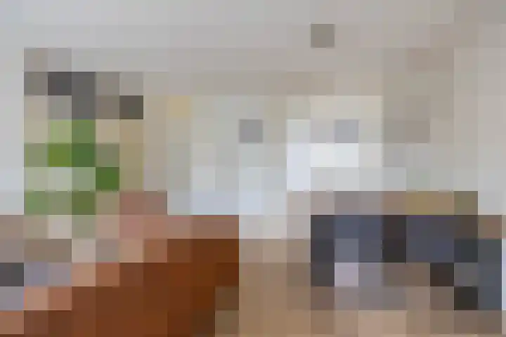 Barmaheerd 23 Groningen thumbnail 15
