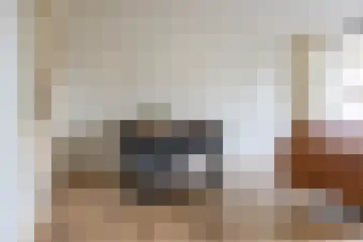 Barmaheerd 23 Groningen thumbnail 16