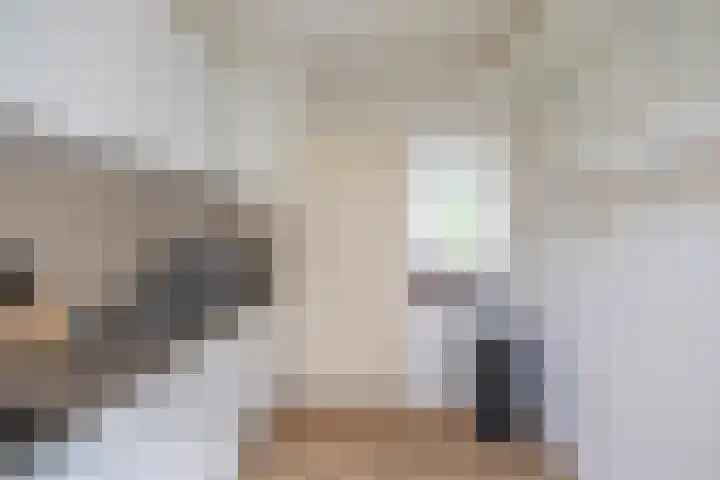 Barmaheerd 23 Groningen thumbnail 18