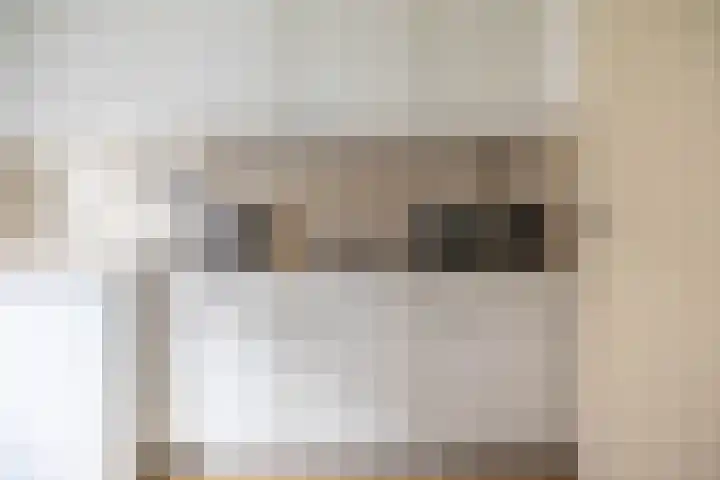 Barmaheerd 23 Groningen thumbnail 19