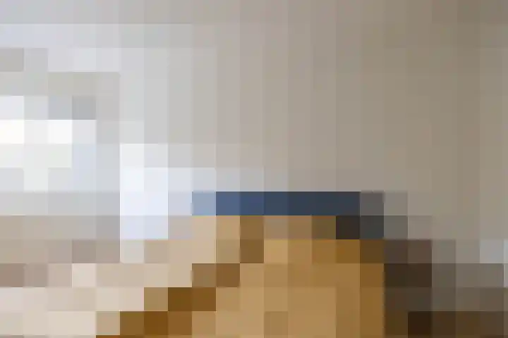 Barmaheerd 23 Groningen thumbnail 21