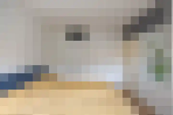 Barmaheerd 23 Groningen thumbnail 22