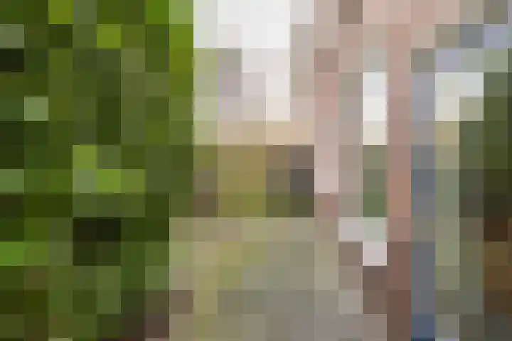 Barmaheerd 23 Groningen thumbnail 26