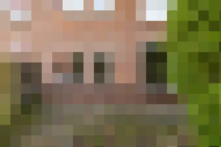 Barmaheerd 23 Groningen thumbnail 27