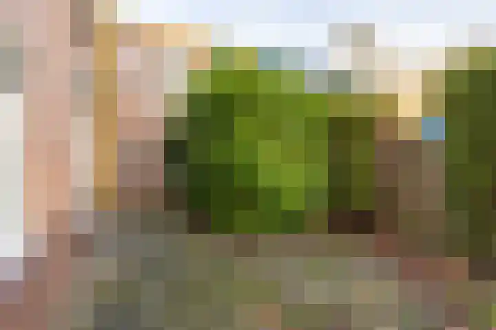 Barmaheerd 23 Groningen thumbnail 28
