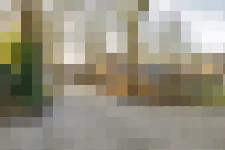 Barmaheerd 23 Groningen thumbnail 31