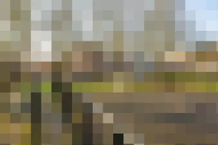 Barmaheerd 23 Groningen thumbnail 32