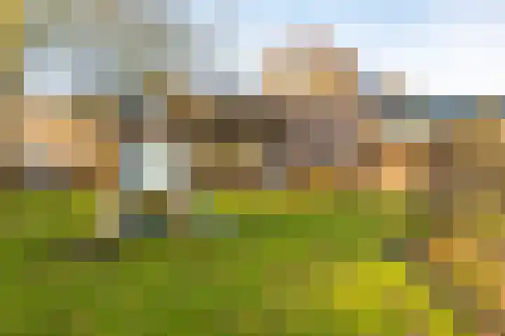 Barmaheerd 23 Groningen thumbnail 33