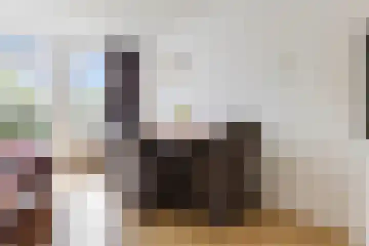 Barmaheerd 37 Groningen thumbnail 11