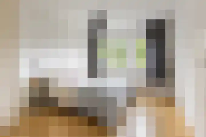 Barmaheerd 37 Groningen thumbnail 14