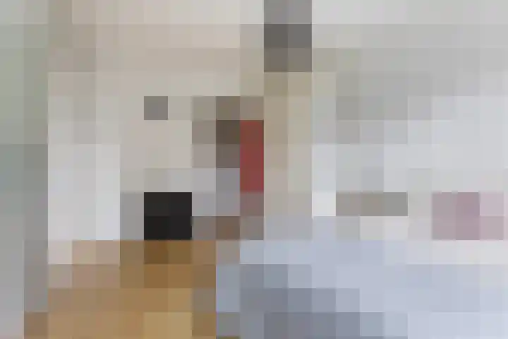 Barmaheerd 37 Groningen thumbnail 15
