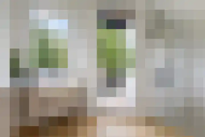 Barmaheerd 37 Groningen thumbnail 18